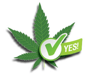 Vote Weed